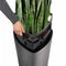 LECHUZA DELTA PREMIUM 30 Plantenbak - met uitneembare binnenbak - met bewateringssysteem - ALL-IN-ONE set met LECHUZA-PON -- scharlakenrood hoogglans