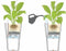 LECHUZA DELTA PREMIUM 40 - Plantenbak - met uitneembare binnenbak - met bewateringssysteem - ALL-IN-ONE set met LECHUZA-PON - wit hoogglans