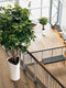 LECHUZA DELTA PREMIUM 40 - Plantenbak - met uitneembare binnenbak - met bewateringssysteem - ALL-IN-ONE set met LECHUZA-PON - wit hoogglans