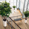 LECHUZA DELTA PREMIUM 40 - Plantenbak - met uitneembare binnenbak - met bewateringssysteem - ALL-IN-ONE set met LECHUZA-PON - scharlakenrood hoogglans