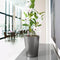 LECHUZA DELTINI - Plantenbak - met uitneembare binnenbak - met bewateringssysteem - ALL-IN-ONE set met LECHUZA-PON - taupe hoogglans