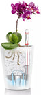 LECHUZA DELTINI - Plantenbak - met uitneembare binnenbak - met bewateringssysteem - ALL-IN-ONE set met LECHUZA-PON - wit hoogglans
