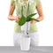 LECHUZA DELTINI - Plantenbak - met uitneembare binnenbak - met bewateringssysteem - ALL-IN-ONE set met LECHUZA-PON - scharlakenrood hoogglans