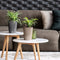 LECHUZA DELTINI - Plantenbak - met uitneembare binnenbak - met bewateringssysteem - ALL-IN-ONE set met LECHUZA-PON - taupe hoogglans