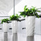 LECHUZA DIAMANTE Premium 40 - Plantenbak - met uitneembare binnenbak - met bewateringssysteem - ALL-IN-ONE set met LECHUZA-PON - mat wit