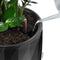 LECHUZA DIAMANTE Premium 40 - Plantenbak - met uitneembare binnenbak - met bewateringssysteem - ALL-IN-ONE set met LECHUZA-PON - mat zwart
