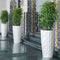 LECHUZA DIAMANTE Premium 40 - Plantenbak - met uitneembare binnenbak - met bewateringssysteem - ALL-IN-ONE set met LECHUZA-PON - antraciet hoogglans