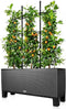 LECHUZA Klimrooster / Trellis - voor plantenbak - Trio Cottage 30
