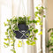 LECHUZA Macramé BOHO 90 - Plantenhanger - 85 cm lengte - wit