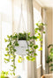 LECHUZA Macramé BOHO 90 - Plantenhanger - 85 cm lengte - wit