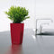 LECHUZA MAXI-CUBI - Premium tafelpot - Plantenbak - met uitneembare binnenbak - met bewateringssysteem - ALL-IN-ONE set met LECHUZA-PON - antraciet metallic