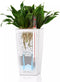 LECHUZA MINI-CUBI - Premium tafelpot - Plantenbak - met uitneembare binnenbak - met bewateringssysteem - ALL-IN-ONE set met LECHUZA-PON - wit hoogglans