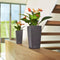 LECHUZA MINI-CUBI - Premium tafelpot - Plantenbak - met uitneembare binnenbak - met bewateringssysteem - ALL-IN-ONE set met LECHUZA-PON - wit hoogglans