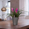 LECHUZA MINI DELTINI - Plantenbak - met uitneembare binnenbak - met bewateringssysteem - ALL-IN-ONE set met LECHUZA-PON - taupe hoogglans
