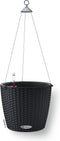 LECHUZA NIDO Cottage 28 - Plantenbak - met uitneembare binnenbak - met bewateringssysteem - ALL-IN-ONE set met LECHUZA-PON - grafietzwart