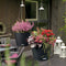 LECHUZA NIDO Cottage 28 - Plantenbak - met uitneembare binnenbak - met bewateringssysteem - ALL-IN-ONE set met LECHUZA-PON - grafietzwart