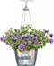 LECHUZA NIDO Cottage 28 - Plantenbak - met uitneembare binnenbak - met bewateringssysteem - ALL-IN-ONE set met LECHUZA-PON - grafietzwart