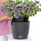 LECHUZA NIDO Cottage 28 - Plantenbak - met uitneembare binnenbak - met bewateringssysteem - ALL-IN-ONE set met LECHUZA-PON - grafietzwart