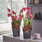 LECHUZA ORCHIDEA - Plantenbak - met uitneembare binnenbak - met bewateringssysteem - ALL-IN-ONE set met LECHUZA ORCHIDPON - Wit mat