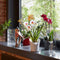 Lechuza - ORCHIDEA Plantenbak - met uitneembare binnenbak - met bewateringssysteem - ALL-IN-ONE set met LECHUZA-PON - scharlakenrood hoogglans