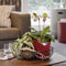 LECHUZA ORCHIDEA - Plantenbak - met uitneembare binnenbak - met bewateringssysteem - ALL-IN-ONE set met LECHUZA ORCHIDPON - leisteengrijs