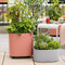 LECHUZA PILA Color PLANTER 35 - Plantenbak - met uitneembare binnenbak - met bewateringssysteem - ALL-IN-ONE set met LECHUZA-PON - pastel groen