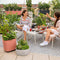 LECHUZA PILA Color PLANTER 35 - Plantenbak - met uitneembare binnenbak - met bewateringssysteem - ALL-IN-ONE set met LECHUZA-PON - koraalrood
