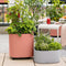 LECHUZA PILA Color PLANTER 35 - Plantenbak - met uitneembare binnenbak - met bewateringssysteem - ALL-IN-ONE set met LECHUZA-PON - lichtgrijs