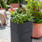 LECHUZA PILA Color STICK - Plantenbak - met uitneembare binnenbak - met bewateringssysteem - ALL-IN-ONE set met LECHUZA-PON - pastel groen