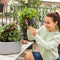 LECHUZA PILA Color STORAGE - Plantenbak module - pastel groen