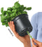 LECHUZA Playmobil OJO - Plantenbak - ALL-IN-ONE set met stick-bewateringssysteem - robijnroze