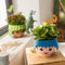 LECHUZA Playmobil OJO - Plantenbak - ALL-IN-ONE set met stick-bewateringssysteem - appeltjesgroen