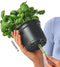 LECHUZA Playmobil OJO - Plantenbak - ALL-IN-ONE set met stick-bewateringssysteem - ravenzwart