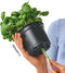 LECHUZA Playmobil OJO - Plantenbak - ALL-IN-ONE set met stick-bewateringssysteem - appeltjesgroen