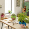 LECHUZA Playmobil OJO - Plantenbak - ALL-IN-ONE set met stick-bewateringssysteem - oceaanblauw