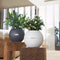 LECHUZA PURO COLOR 20 - Plantenbak - met uitneembare binnenbak - met bewateringssysteem - ALL-IN-ONE set met LECHUZA-PON - zandbruin