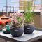 LECHUZA PURO COLOR 20 - Plantenbak - met uitneembare binnenbak - met bewateringssysteem - ALL-IN-ONE set met LECHUZA-PON - wit