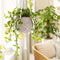 LECHUZA PURO COLOR 20 - Plantenbak - met uitneembare binnenbak - met bewateringssysteem - ALL-IN-ONE set met LECHUZA-PON - wit