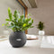 LECHUZA PURO COLOR 20 - Plantenbak - met uitneembare binnenbak - met bewateringssysteem - ALL-IN-ONE set met LECHUZA-PON - wit