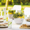 LECHUZA PURO COLOR 20 - Plantenbak - met uitneembare binnenbak - met bewateringssysteem - ALL-IN-ONE set met LECHUZA-PON - zandbruin
