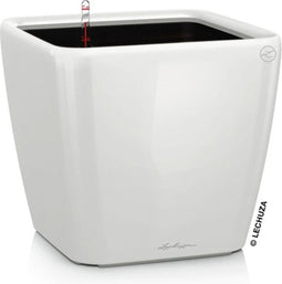LECHUZA QUADRO Premium LS 21 - Plantenbak - met uitneembare binnenbak - met bewateringssysteem - ALL-IN-ONE set met LECHUZA-PON - wit hoogglans