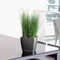 LECHUZA QUADRO Premium LS 21 - Plantenbak - met uitneembare binnenbak - met bewateringssysteem - ALL-IN-ONE set met LECHUZA-PON - antraciet metallic
