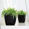 LECHUZA QUADRO Premium LS 21 - Plantenbak - met uitneembare binnenbak - met bewateringssysteem - ALL-IN-ONE set met LECHUZA-PON - taupe hoogglans