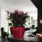 LECHUZA QUADRO Premium LS 28 - Plantenbak - met uitneembare binnenbak - met bewateringssysteem - ALL-IN-ONE set met LECHUZA-PON - wit hoogglans