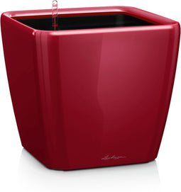 LECHUZA QUADRO Premium LS 35 - Plantenbak - met uitneembare binnenbak - met bewateringssysteem - ALL-IN-ONE set met LECHUZA-PON - scharlakenrood hoogglans