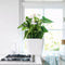 LECHUZA QUADRO Premium LS 35 - Plantenbak - met uitneembare binnenbak - met bewateringssysteem - ALL-IN-ONE set met LECHUZA-PON - zilver metallic