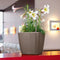 LECHUZA QUADRO Premium LS 35 - Plantenbak - met uitneembare binnenbak - met bewateringssysteem - ALL-IN-ONE set met LECHUZA-PON - scharlakenrood hoogglans