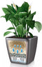LECHUZA QUADRO Premium LS 43 - Plantenbak - met uitneembare binnenbak - met bewateringssysteem - ALL-IN-ONE set met LECHUZA-PON - wit hoogglans