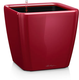 LECHUZA QUADRO Premium LS 50 - Plantenbak - met uitneembare binnenbak - met bewateringssysteem - ALL-IN-ONE set met LECHUZA-PON - scharlakenrood hoogglans
