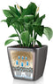 LECHUZA QUADRO Premium LS 50 - Plantenbak - met uitneembare binnenbak - met bewateringssysteem - ALL-IN-ONE set met LECHUZA-PON - zwart hoogglans